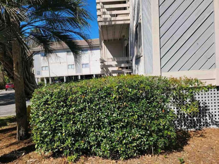 2022 Renovated 2-Bdrm Cozy, Lovely Condo W/Parking! Hilton Head Island Exterior photo